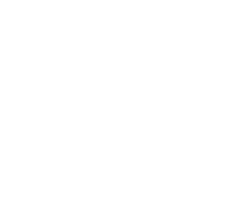 Github logo